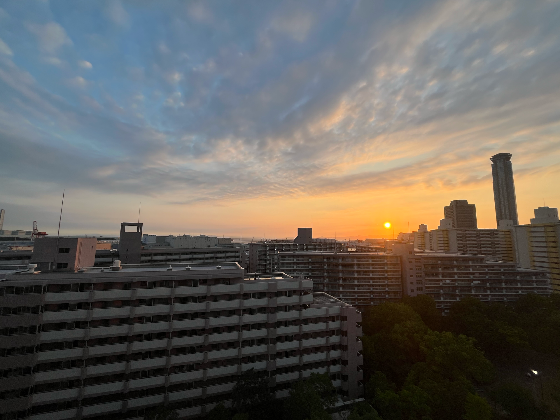 眺望